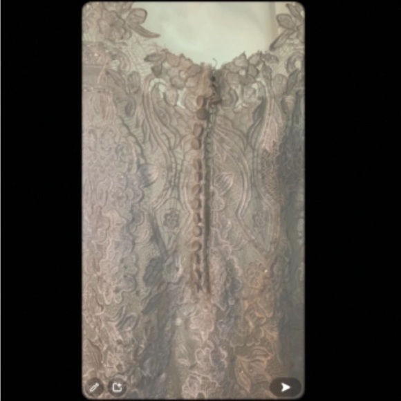 Christina Wu Authentic Wedding Dress - Picture 5 of 5